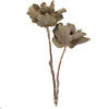 14"x6" Queen Flower Small 2 Head Bunch - view 1 of 7