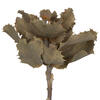 14"x6" Queen Flower Small 2 Head Bunch - view 4 of 7
