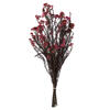 Vickerman 16" Rice Flower, 4.25oz Preserved - view 1 of 5