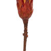 Vickerman 8-12" Repens on a Natural Stem, Dried - view 3 of 5