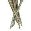 Vickerman Natural Botanicals 13" x 1-3" Red Gum Branch Frosted, 14 stems per unit - view 4 of 5