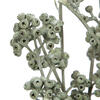 Vickerman Natural Botanicals 13" x 1-3" Red Gum Branch Frosted, 14 stems per unit - view 3 of 5