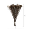 Vickerman Natural Botanicals 19" x 4" Staavia, 100 grams per Unit - view 6 of 6