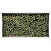 Vickerman 3-4" Spider Claws, Dried - view 4 of 4
