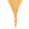 18" Bleached Stoebe 2.5 oz Bunch - view 3 of 3