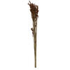 33"x5" Thatch Reed 3.5oz Bunch - view 1 of 6