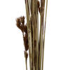 33"x5" Thatch Reed 3.5oz Bunch - view 4 of 6