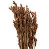 33"x5" Thatch Reed 3.5oz Bunch - view 2 of 6