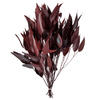 Vickerman Natural Botanicals Red Eucalyptus Willow - view 1 of 6