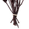Vickerman Natural Botanicals Red Eucalyptus Willow - view 6 of 6