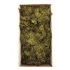 Moss Green Wolf Lichen Moss 8oz - view 1 of 2