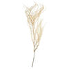 26" Bleached Andares Fern - 4 oz - view 1 of 6