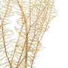 26" Bleached Andares Fern - 4 oz - view 5 of 6