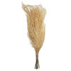 26" Bleached Andares Fern - 4 oz - view 3 of 6