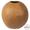 Vickerman 6-7" x 6-8" Bacacuia Gourd, Dried 3 Pack - view 5 of 5