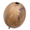 Vickerman 6-7" x 6-8" Bacacuia Gourd, Dried - view 4 of 7
