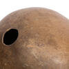 Vickerman 6-7" x 6-8" Bacacuia Gourd, Dried - view 3 of 7