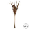 Vickerman 36" Bahia Spears with Seeds, Dried 18 Pack - view 6 of 6