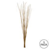 Vickerman 36"-40" Caba Spine Bundle, Dried 24oz - view 5 of 5