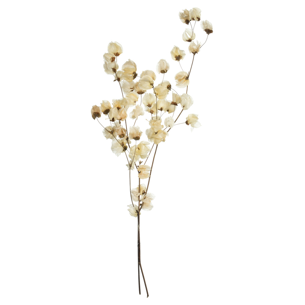 Vickerman Cara Blossom Spray