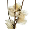 Vickerman Cara Blossom Spray - view 3 of 4