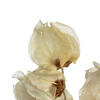 Vickerman Cara Blossom Spray - view 2 of 4