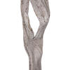 Vickerman Cipo Escada, Dried - view 3 of 4
