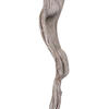 Vickerman Cipo Escada, Dried - view 2 of 4