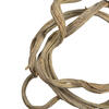 Vickerman 13" Coiled Vine, Dried - view 3 of 4