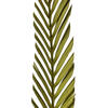 38-48" Basil Coco Palm Designer Cut 6/pk - view 3 of 4