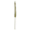 38-48" Basil Coco Palm Designer Cut 6/pk - view 2 of 4