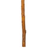 Vickerman 18" Dried Cirius Stem, 6 per bag - view 3 of 3