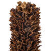 Vickerman 18" Dried Cirius Stem, 6 per bag - view 2 of 3