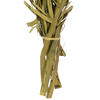 Vickerman 40-48" Twisted Coco Palm Stems, Dried - view 5 of 5