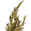Vickerman 40-48" Twisted Coco Palm Stems, Dried - view 3 of 5