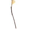 13.5-17" Bleached Cabo Verde Skeleton - view 3 of 3