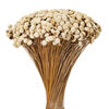 20" Natural Floral Button Bunch 16 oz - view 3 of 4