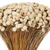 20" Natural Floral Button Bunch 16 oz - view 2 of 4