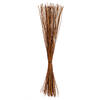 39" Natural Fern Reed Stem Bunch 1.5 lb - view 1 of 3