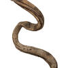 72-84" Natural Giant Jungle Vine - 1 pc - view 2 of 4