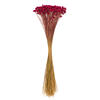 Vickerman 14" Dried Hil Flower Bunch, 16 oz - view 1 of 3