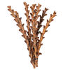 18" Dried Natural Buriti Twig 18/Bag - view 1 of 3
