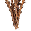 18" Dried Natural Buriti Twig 18/Bag - view 3 of 3
