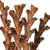 18" Dried Natural Buriti Twig 18/Bag - view 2 of 3