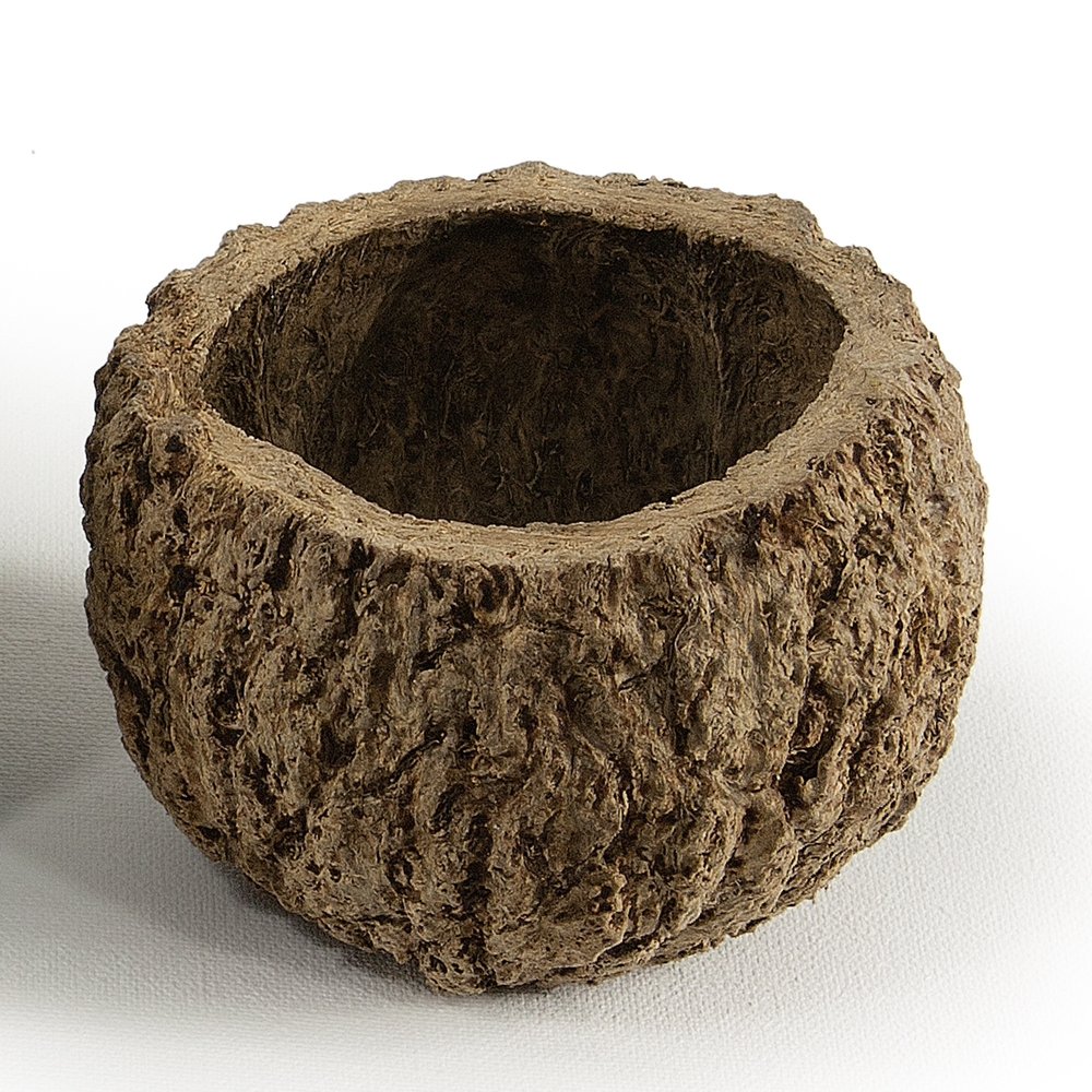 Vickerman all Natural Mayan Coconut, Dried