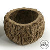 Vickerman all Natural Mayan Coconut, Dried - view 2 of 2
