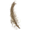 Vickerman Natural Medusa Branch, Dried - view 1 of 5