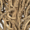 Vickerman Natural Medusa Branch, Dried - view 4 of 5