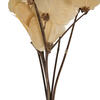 13.5-17" Bleached Moneta Leaf on Twig - view 4 of 5