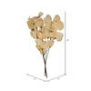 13.5-17" Bleached Moneta Leaf on Twig - view 3 of 5
